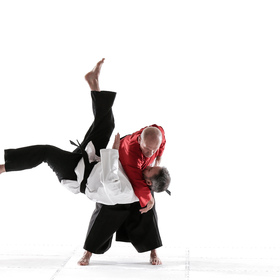 Hapkido 1 — figure reference